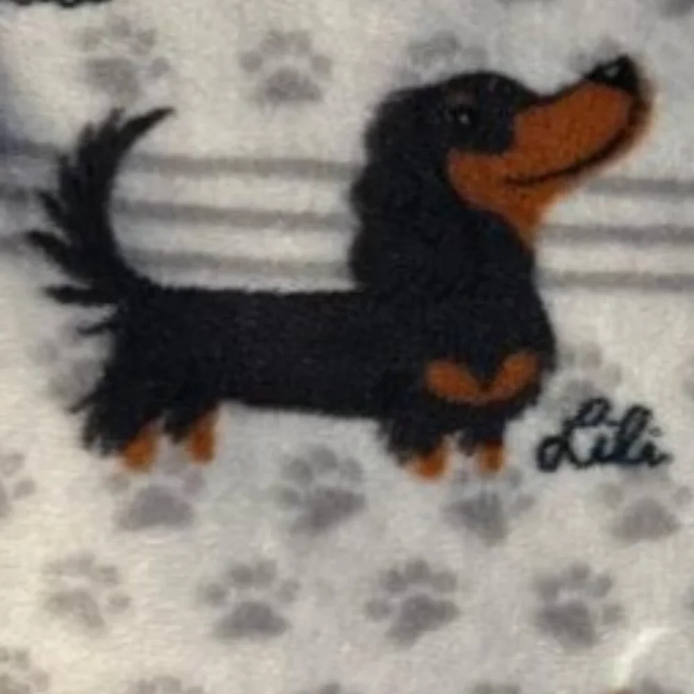 BRAND NEW DACHSHUND / DOXIE / WEINER WEENIE DOG 60